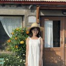 귤밭에고양이 | 제주 가성비 스냅, 귤밭사진관 다녀온 후기