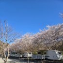 용소길 | 전주 근교 벚꽃캠핑 추천 담양 가마골계곡 핫캠핑장 솔직 후기