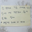 은미밀면 | 경주 은미밀면 후기｜카카오 평점 믿고 다녀온 솔직 리뷰