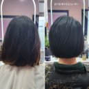 밀레니엄헤어샵 - 시흥시 | 밀레니엄헤어샵