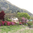 유곡보건진료소 이미지