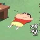 엉게나무 이미지