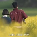 시시때때