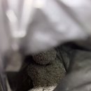 먼지없는고양이모래 추천 모랭머랭 카사바+벤토나이트 찐후기
