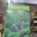 1992년 조무연 저 "원색 한국식물도감" 4판본 이미지