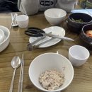 토박이 이미지