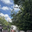 05.권곡초맞은편 B | [4박 5일 치앙마이 여행] 3일차: chao chao,카오쏘이님만,로스터리랩,원님만,플레이웍스,마야몰,라탄...