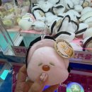 정왕뽑기방 이미지