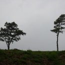 비래초교 이미지