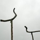 대전조돈길 이미지