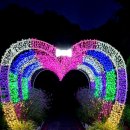 제주허브동산 | 제주허브동산 야간개장 빛축제 밤산책 후기