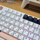 개성시대 | 편안한 기계식 키보드 큐센 Q104 풀윤활 가스넷 유무선 키보드 저소음 바다소금축 사용 후기
