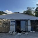 산양목장 이미지