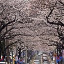 제주의 사색 이미지