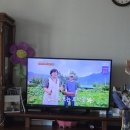 MBC티비 오늘N 에 이미지