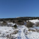 (주)알푸스 | [100대 명산] 한라산 2 편 (동영상)