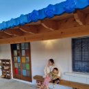 파도마을 삼냥이네 이미지