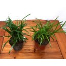 순희농장 이미지