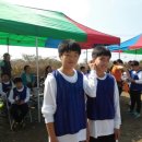 증도초등학교 이미지