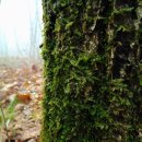 (주)양지약품 이미지