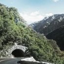 보령베스트 이미지