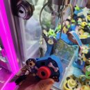 엘 코인노래연습장 이미지