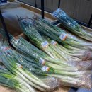 포천농협 로컬푸드직매장 이미지