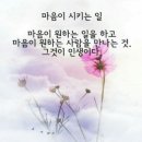 화평구족(和平求足)의 미망(迷妄)함 이미지