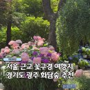 한창꽃조경 | 서울 근교 경기도 부모님 모시고 가기 좋은 꽃구경 여행지 화담숲 추천