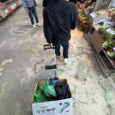 (주)오케이인터내셔날 | [월간보고] 4월. 팔랑귀 팔랑귀 렏렏 눈치나 살피기 렏렏
