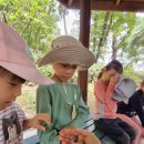 오금숲어린이집 이미지