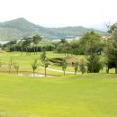 옥과골프장 이미지