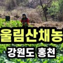 시후민박 이미지