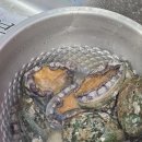 신지면-2 | 신선함이 다른 완도어장영어조합법인 항아리속바다 활전복 손질 및 전복 삼계탕 후기!