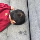 포돌이로 33 Daum카페