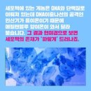 블루화장품