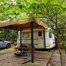 캠프오후4시 이미지