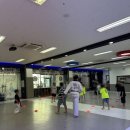 용인대 버들 태권도 이미지