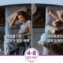 웰니스 동물병원 이미지