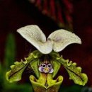 주공부동산뉴스공인중개사사무소 이미지