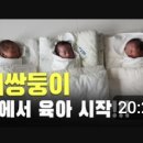 제인앤조이