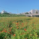 적성향교 | 파주시 교하향교 추기 석전대제 제향
