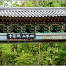 청천공원 Daum카페