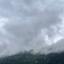 소들의 천국 이미지