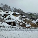 인생은 즐겁게/언제나 청춘 이미지