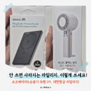 라라쿡 | 항공 마일리지 소멸 전 몰 쇼핑! 보조배터리 & 냉각 손풍기 득템 후기 (ft. 주문 방법 안내) ㅣ 라라로그