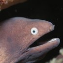 바닷가횟집 이미지