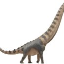 알라모사우루스 | 초식 공룡종류 용각류 종류 알라모의 도마뱀 알라모사우루스