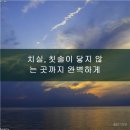 미소를만드는치과교정과치과의원 이미지