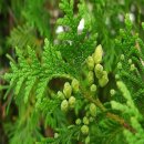 순희농장 이미지